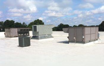 Ponds & Water Features